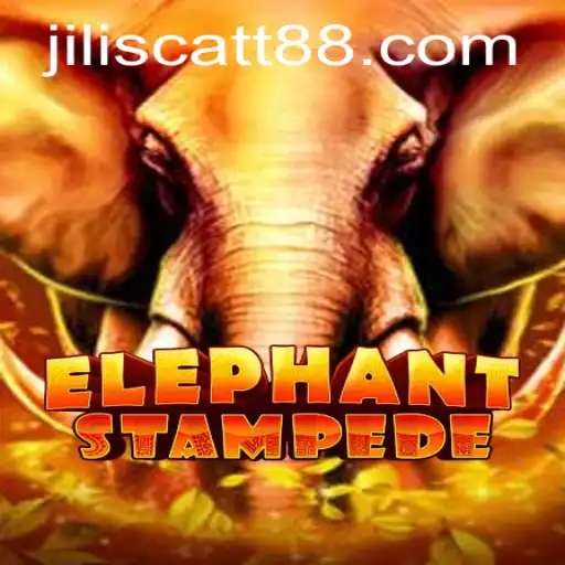 ElephantStampede: A Thrilling Adventure Awaits